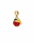 Charms da 3,50€